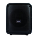 Subwoofer 8 Pulgadas 45w Brodu Bts-1783 Karaoke Dynamic